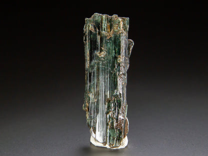 Actinolite