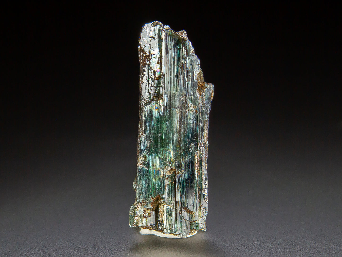 Actinolite