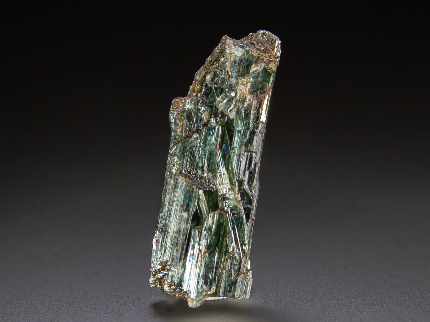 Actinolite