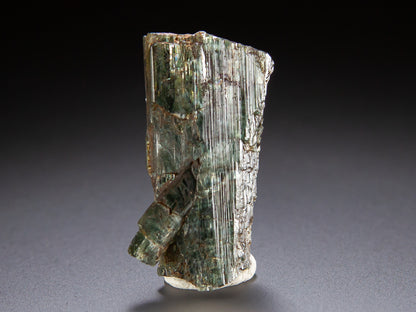 Actinolite