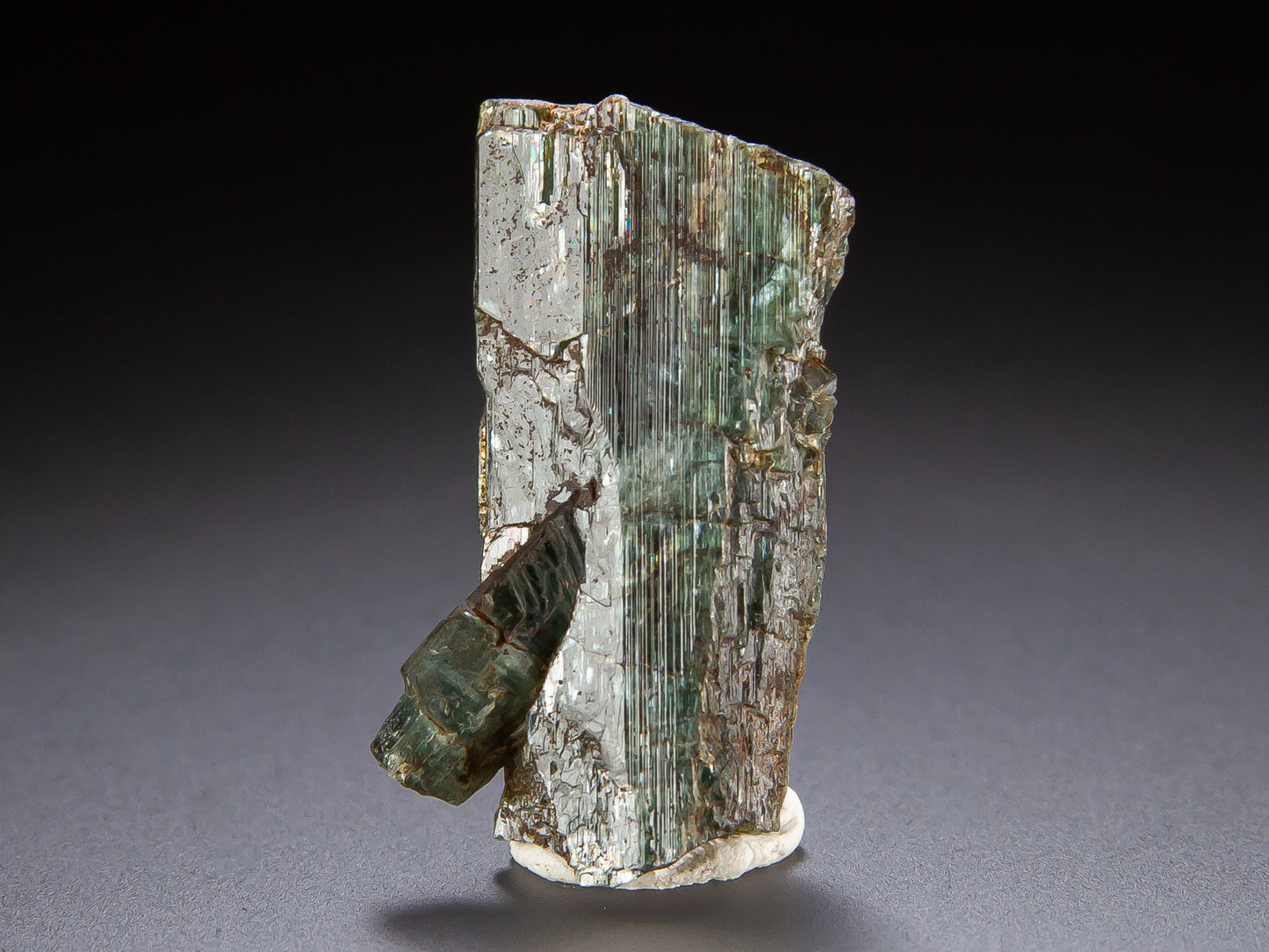 Actinolite