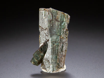 Actinolite