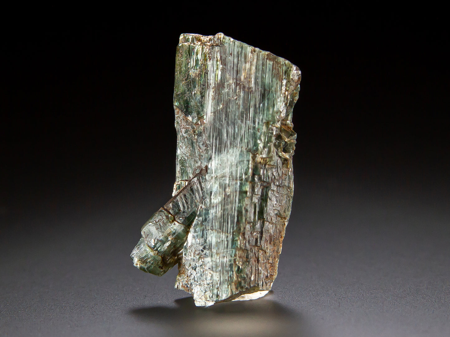 Actinolite
