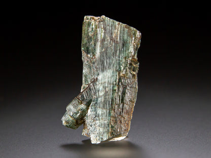 Actinolite