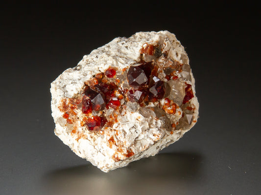 A mineral specimen featuring dark red and smoky brown crystals set in a light gray to off-white matrix, photographed on a dark gray to black gradient background.