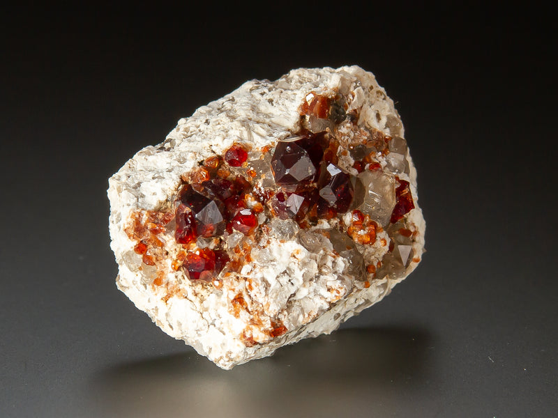 A mineral specimen featuring dark red and smoky brown crystals set in a light gray to off-white matrix, photographed on a dark gray to black gradient background.