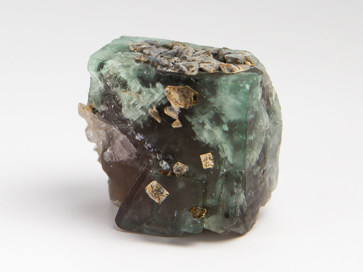 A raw mineral specimen featuring green fluorite crystals, dark brown to black matrix, and scattered metallic gold pyrite (chalcopyrite) crystals, photographed on a seamless white background.