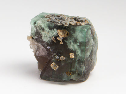 A raw mineral specimen featuring green fluorite crystals, dark brown to black matrix, and scattered metallic gold pyrite (chalcopyrite) crystals, photographed on a seamless white background.