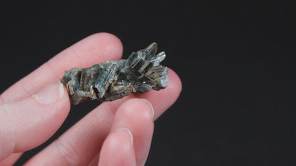 Actinolite