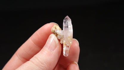 A glistening quartz crystal with slight purple color near terminations. Striations are present on parallel faces as well as stepped crystal growth.