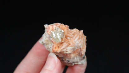 Barite & Cerussite