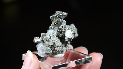 Calcite & Marcasite