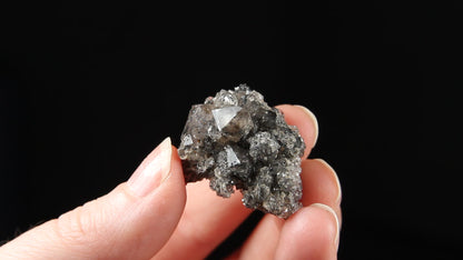 Quartz and Hematite Var. Specularite