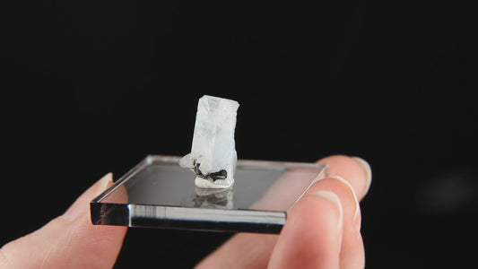 Beryl Var. Aquamarine & Tourmaline