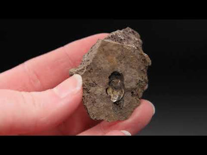 Quartz Var. Herkimer Diamond