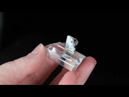 Beryl Var. Aquamarine with Inclusions of Tourmaline