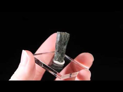 Actinolite
