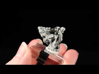 Natrolite & Aegirine
