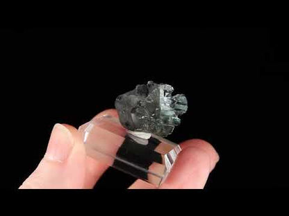 Actinolite
