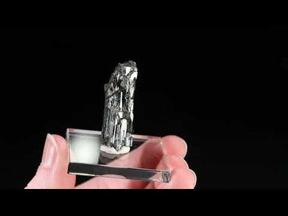 Actinolite