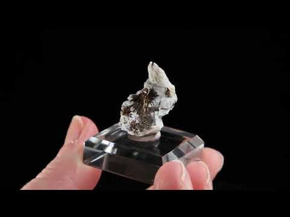 Astrophyllite
