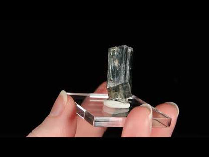 Actinolite