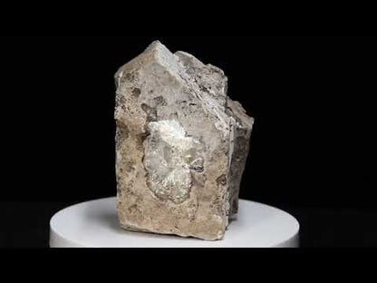 Quartz Var. Herkimer Diamond and Calcite