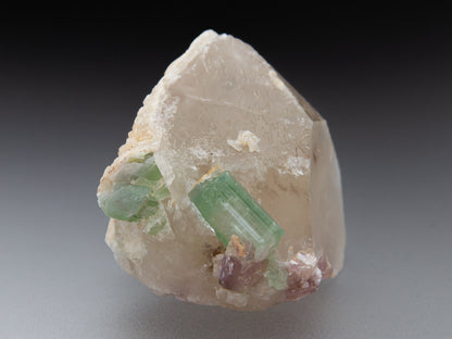 Tourmaline on Quartz with Lepidolite